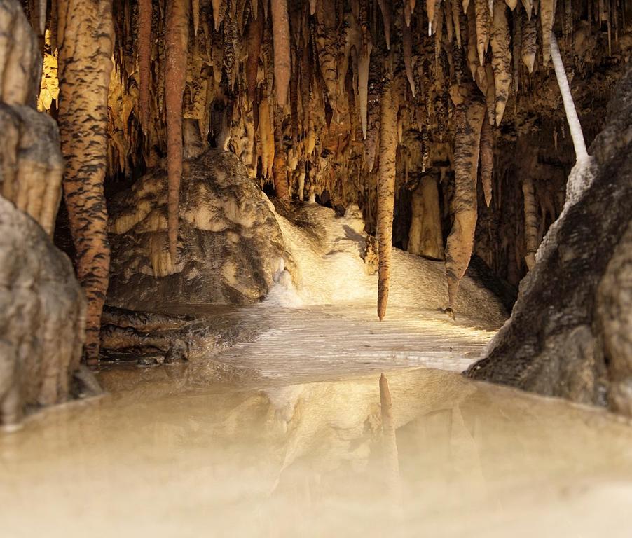 彩虹松树旅游露营地 阿达米纳比 外观 照片